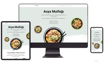 Asya Mutfağı Hazır WordPress Teması