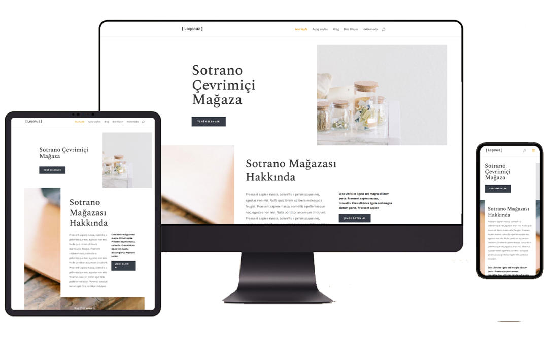 Ev Dekorasyon Hazır WordPress Teması