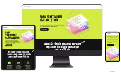 Finansal Planlama Hazır WordPress Teması