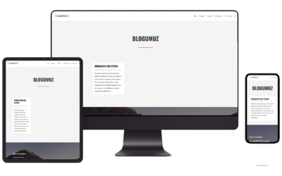 Tatil Ajansi Hazır WordPress Teması